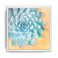 Bright-eyed III Framed Succulent Canvas Wall Art