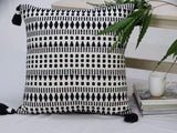 Throw Pillow for couch with Tassels-Winter