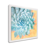 Bright-eyed III Framed Succulent Canvas Wall Art